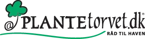 Plantetorvet