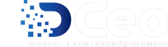 DCEO ecommerce rådgivning