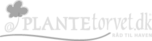 png_plantetorvet
